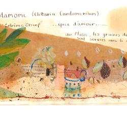 Cardamome- "Epicee marocaine" - carnet de saveurs